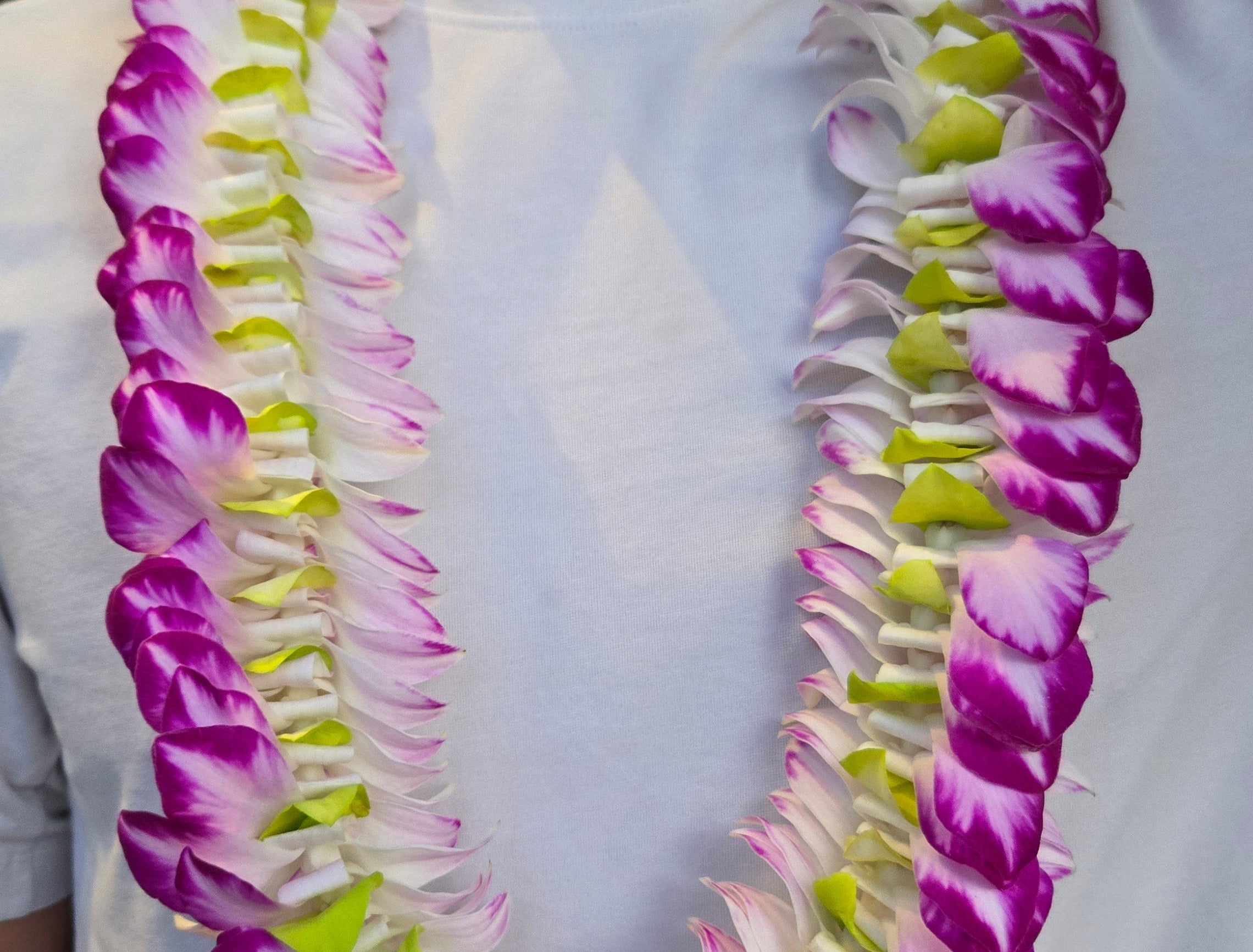 Purple and white Dendrobium orchid lei for graduation or wedding