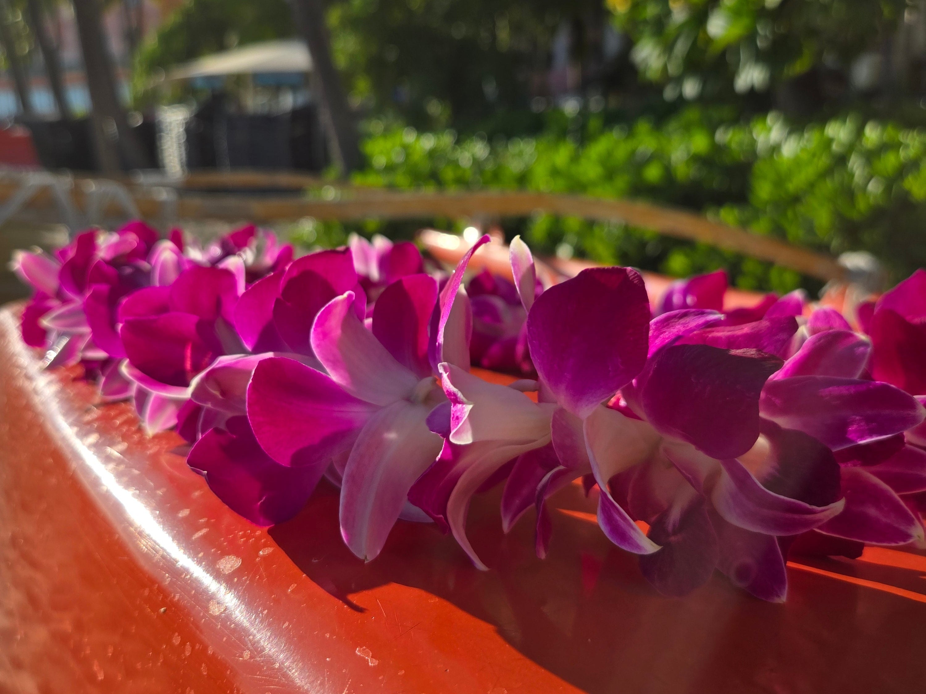 The Meaning of the Orchid Lei