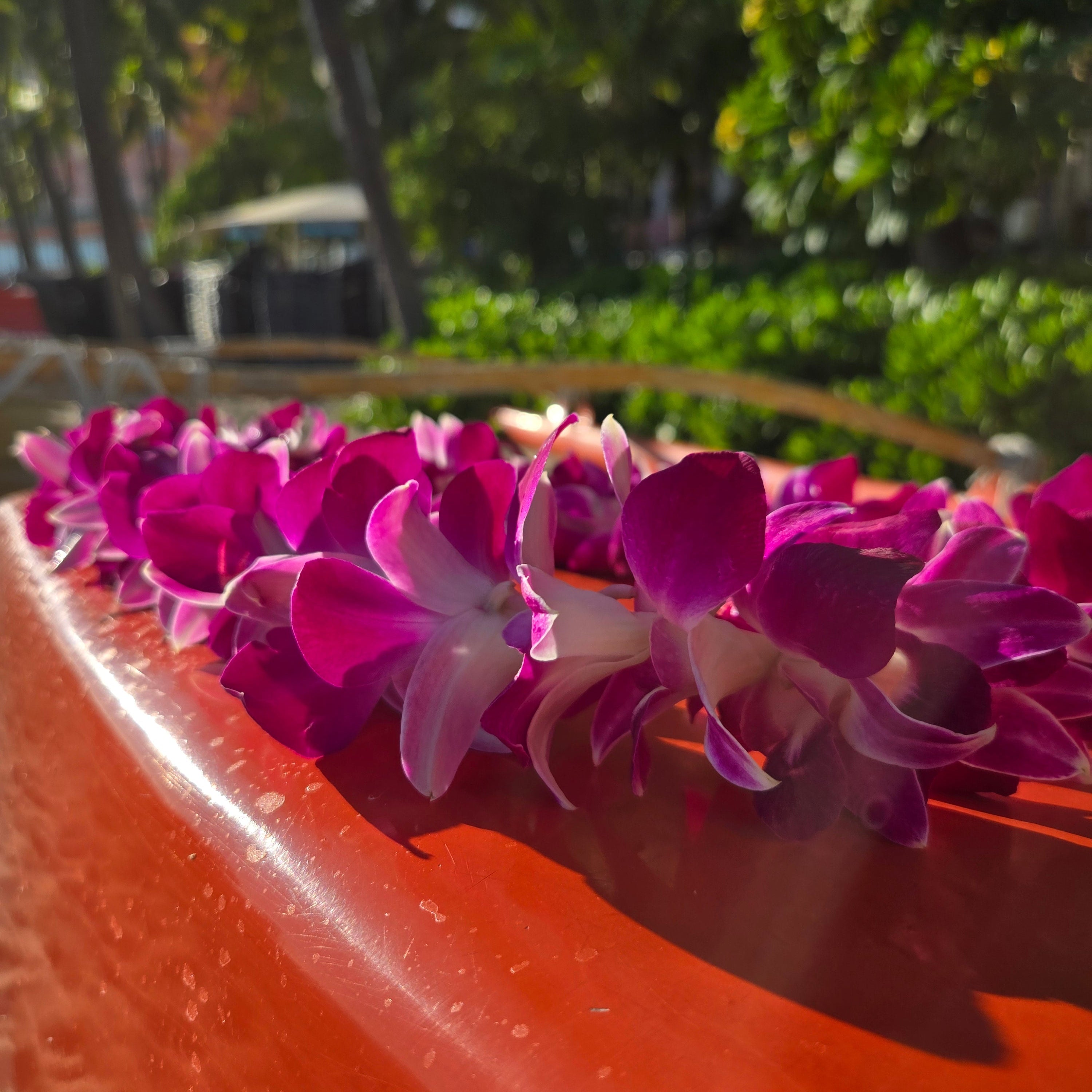 The Meaning of the Orchid Lei