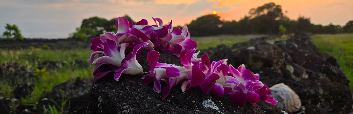 Orchid Leis