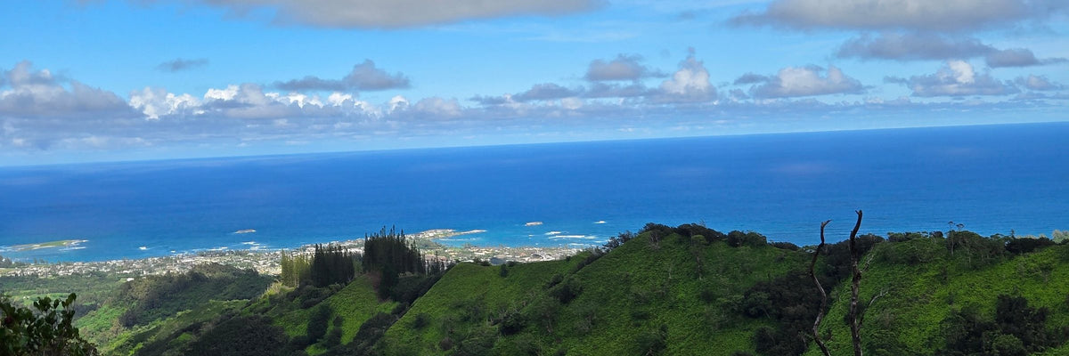 Lush green Ko'olau ridges overlooking the blue Pacific and Oahu's windward coast