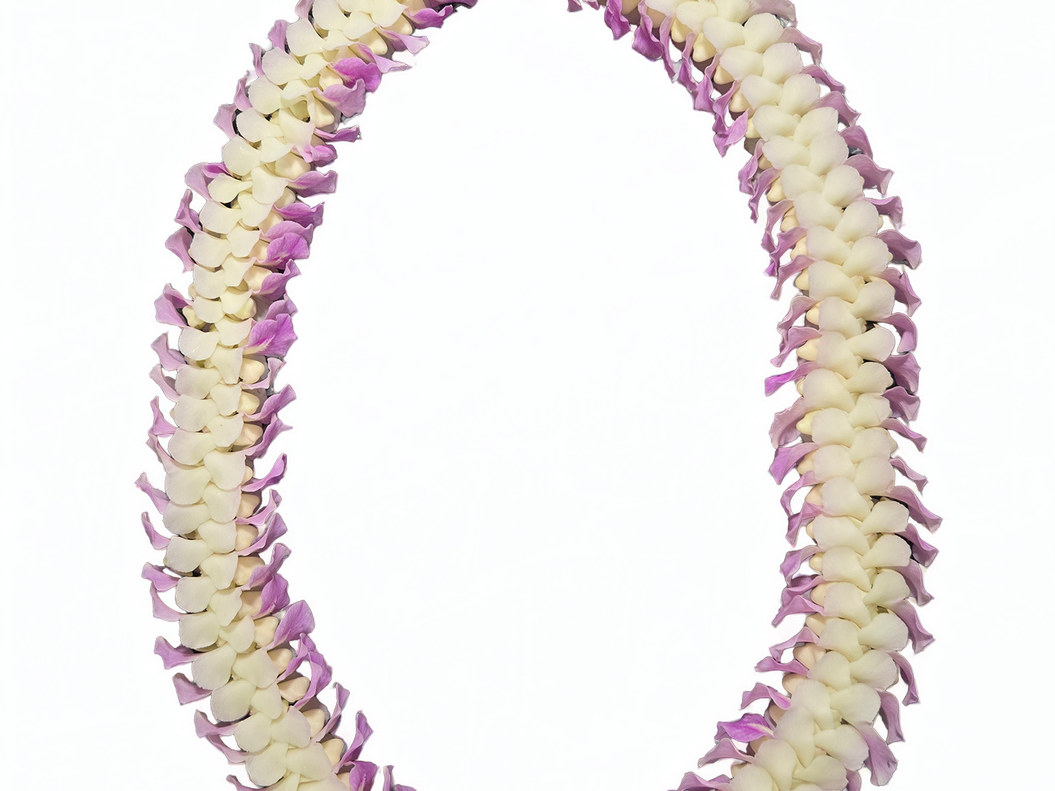 Deluxe flat pink orchid lei with white and lavender-pink orchids