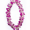 Full orchid lei with fresh pink and white orchids on a white background