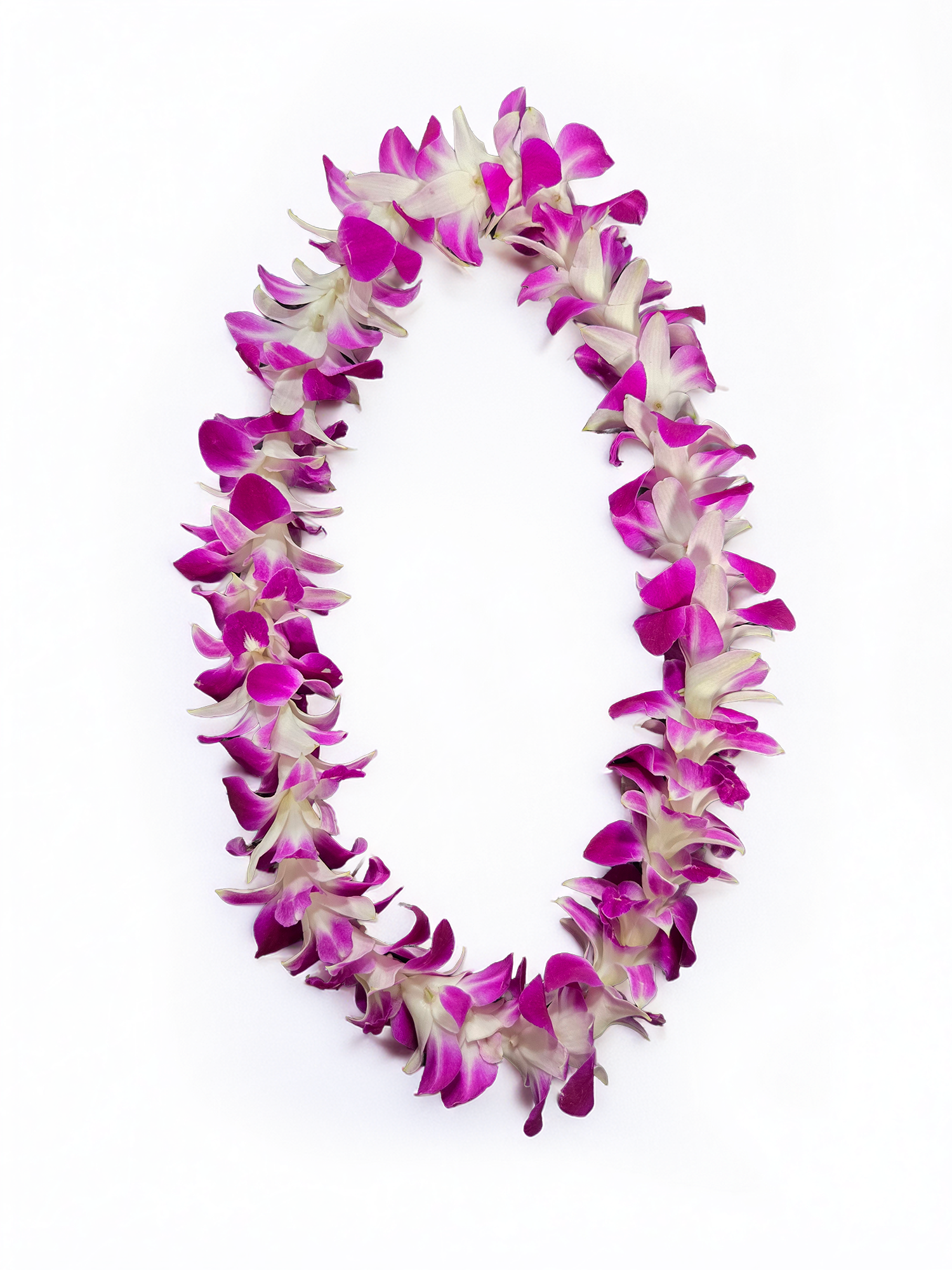 Full orchid lei with fresh pink and white orchids on a white background