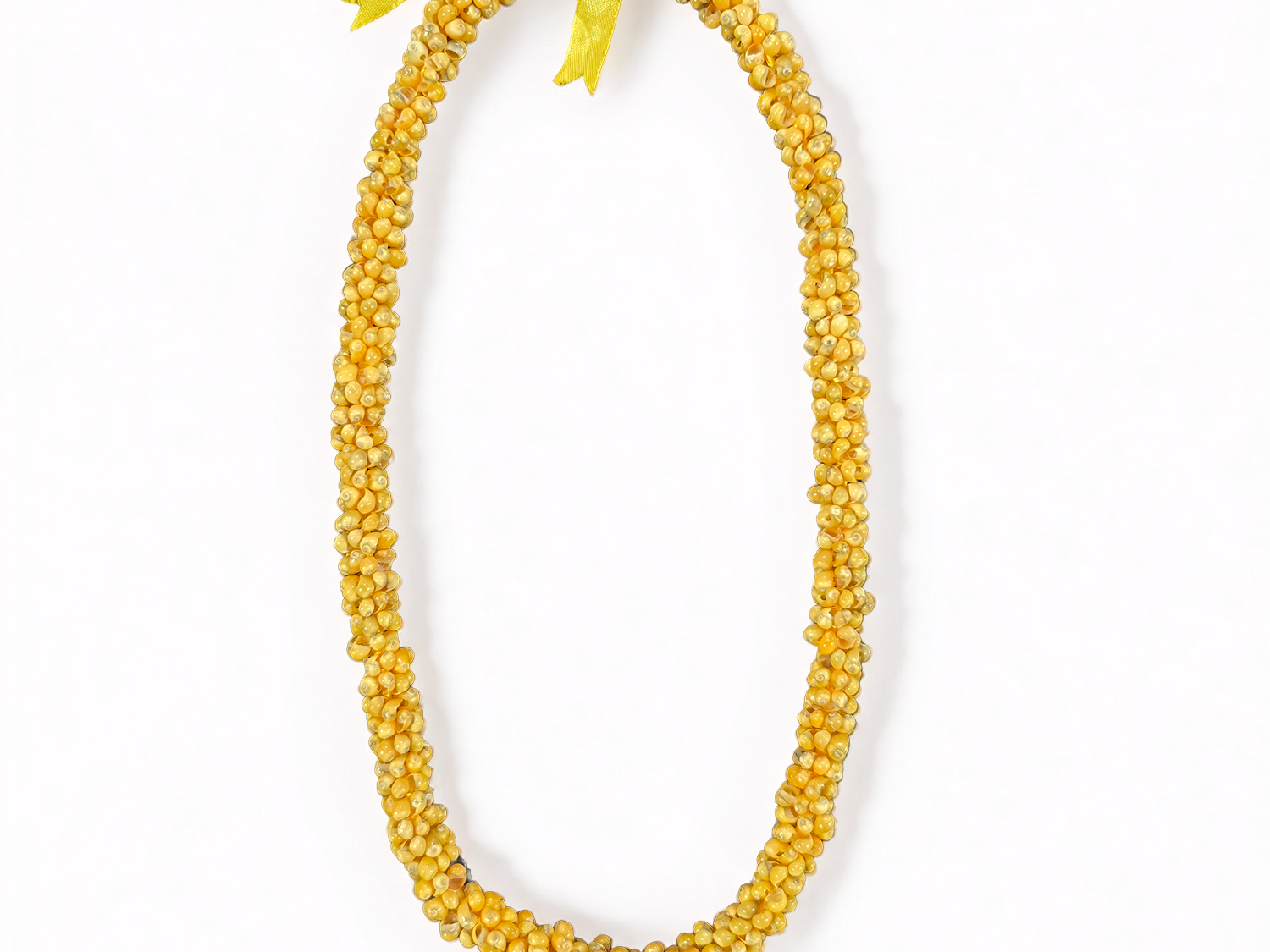 Yellow shell lei with tightly strung golden-yellow shells, two dark kukui nuts, and a yellow ribbon on a white background