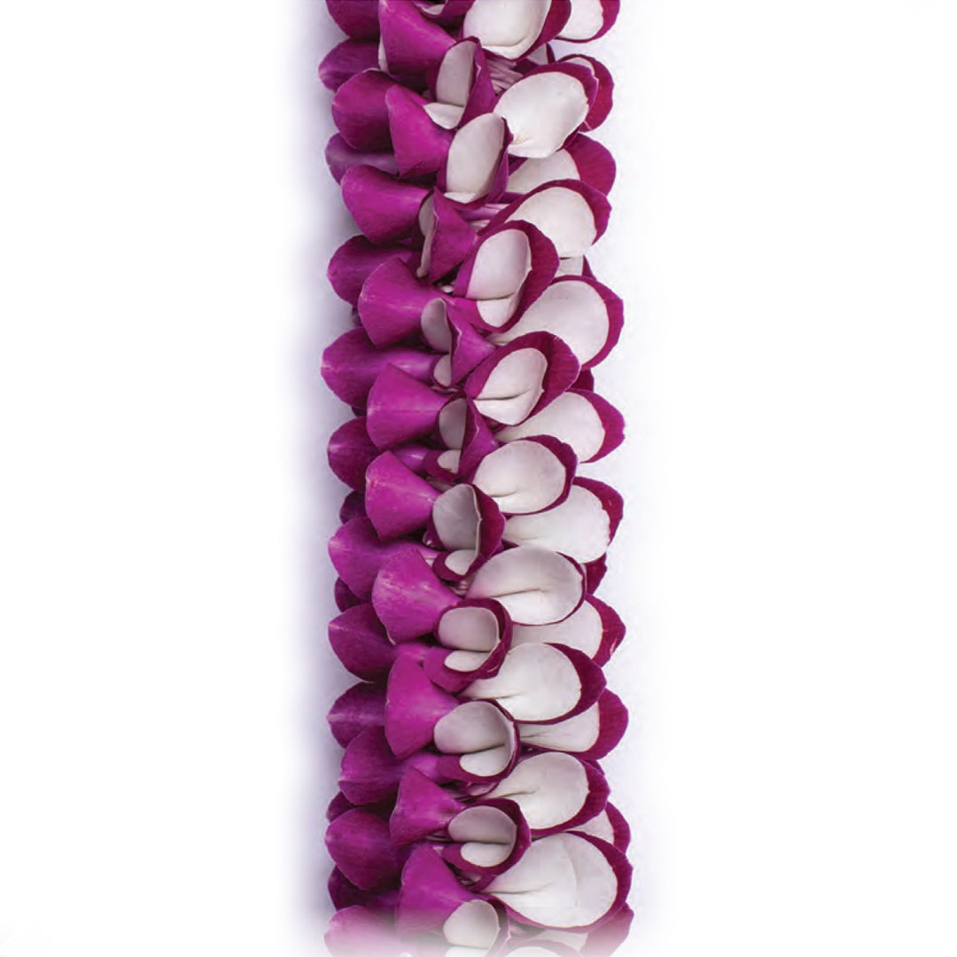 Akela Orchid Lei