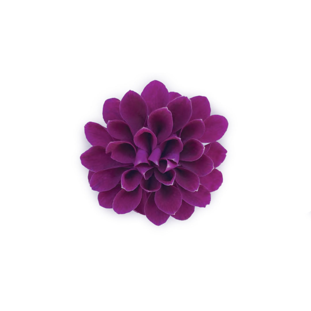 Amethyst Bloom Orchid Hair Clip