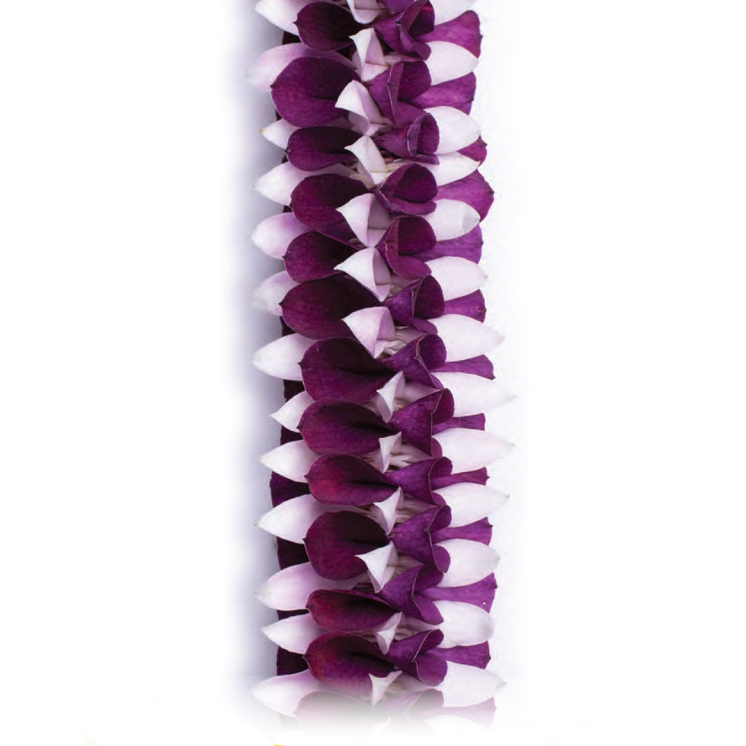Amethyst Ribbon Orchid Lei