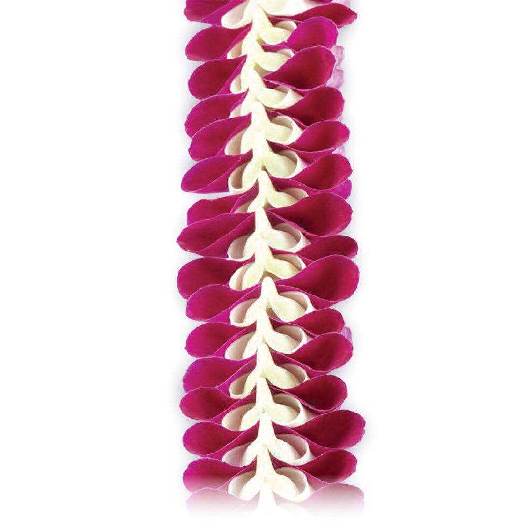 Anela Orchid Lei