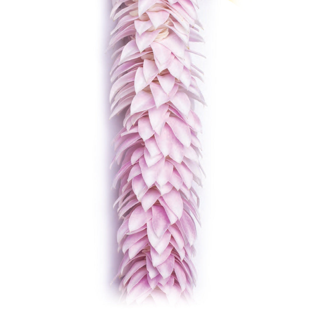Charming Lei made of pale pink petals layered into a full, fluffy lei