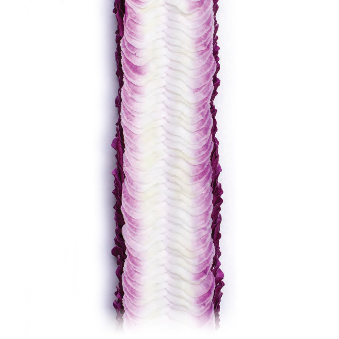 Christina Orchid Lei of white orchid petals with lavender edges and deep purple accents
