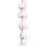 Classic Tuberose Lei