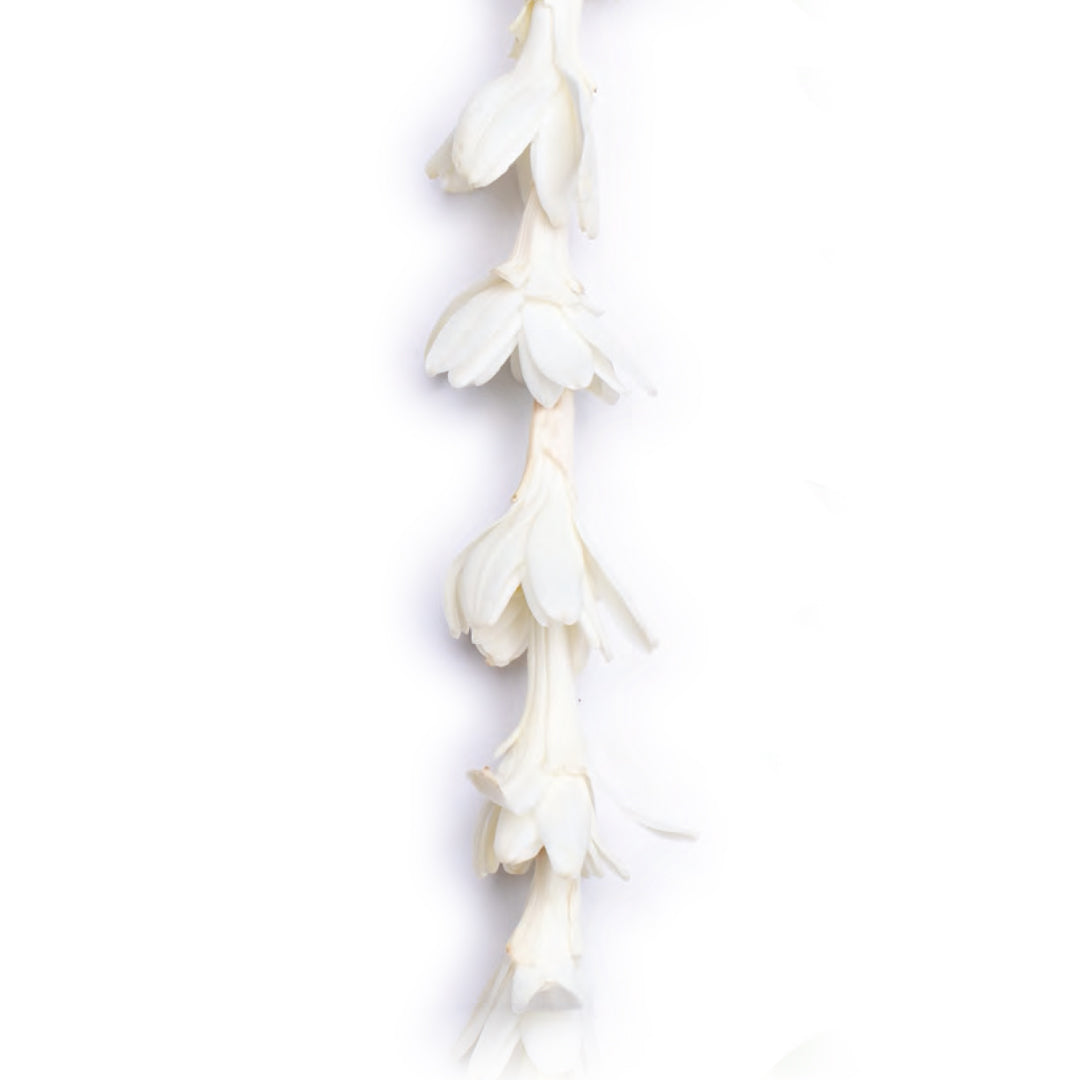 Classic Tuberose Lei