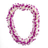 Deluxe pink and white orchid lei arranged in a circle on a white background
