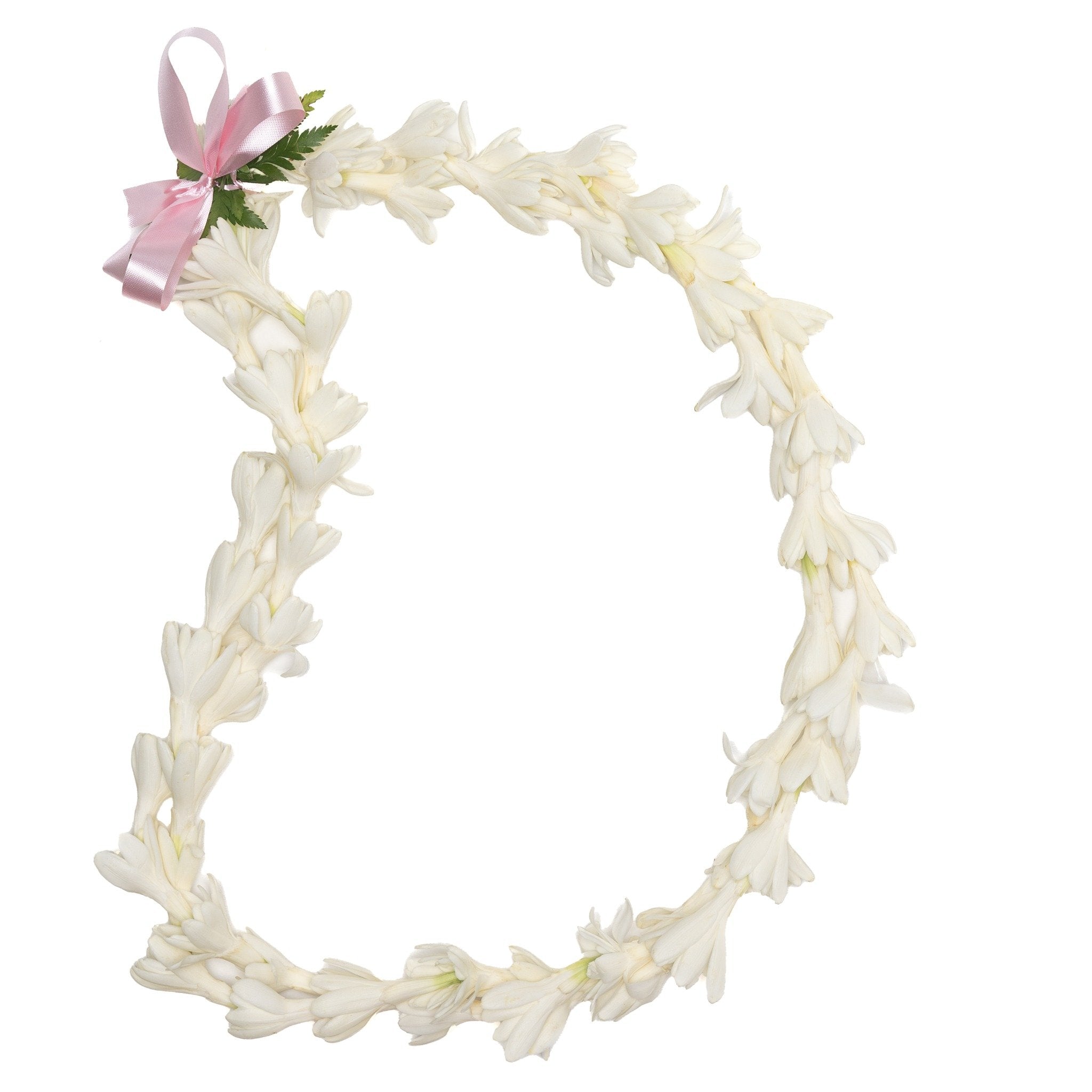 deluxe white tuberose lei double strand