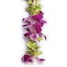Haleiwa Garden Orchid Lei of alternating purple and jade green orchids on a single strand