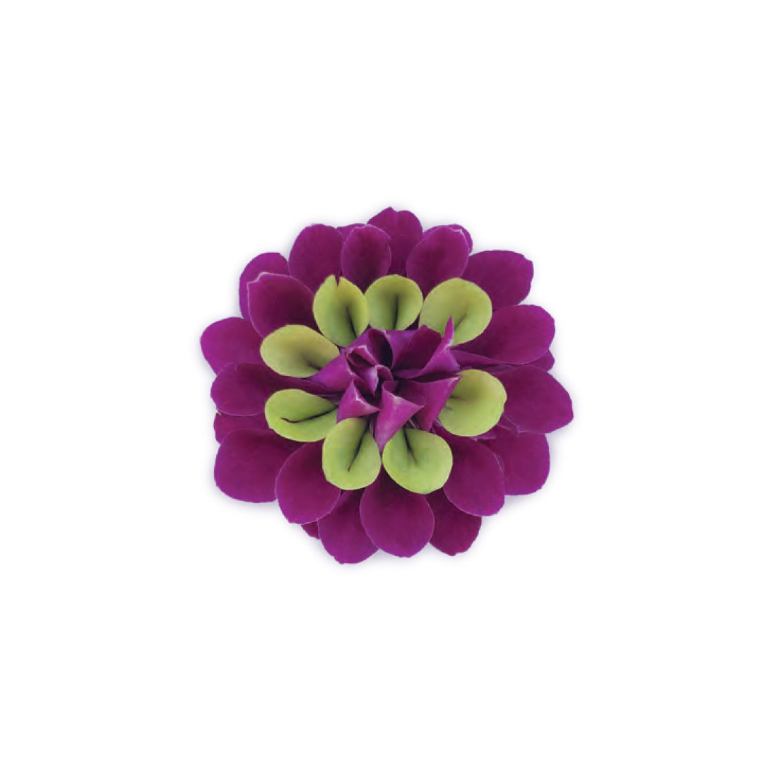 Hanalei Jewel Orchid Wristlet