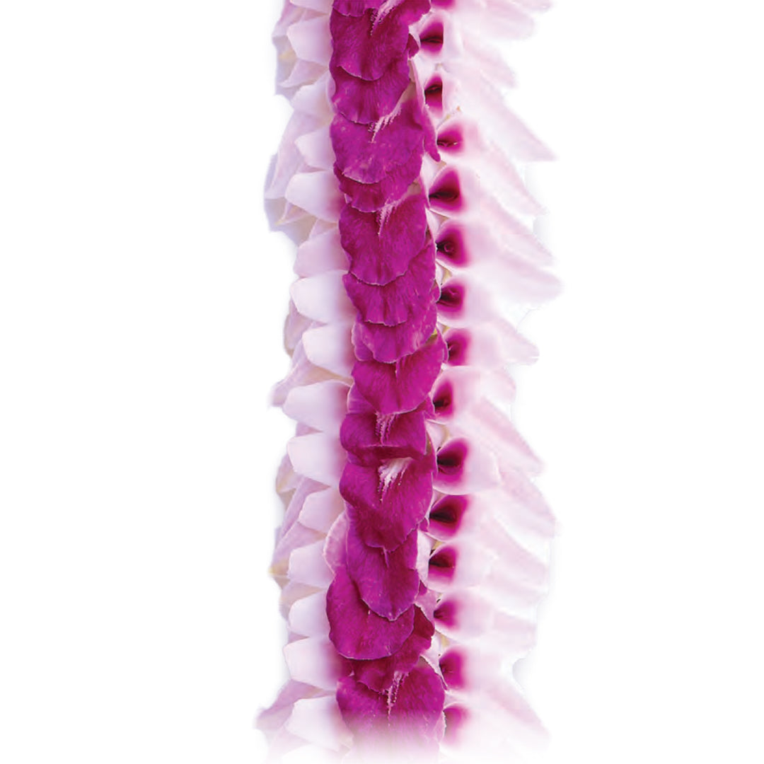 Hōkū Orchid Lei