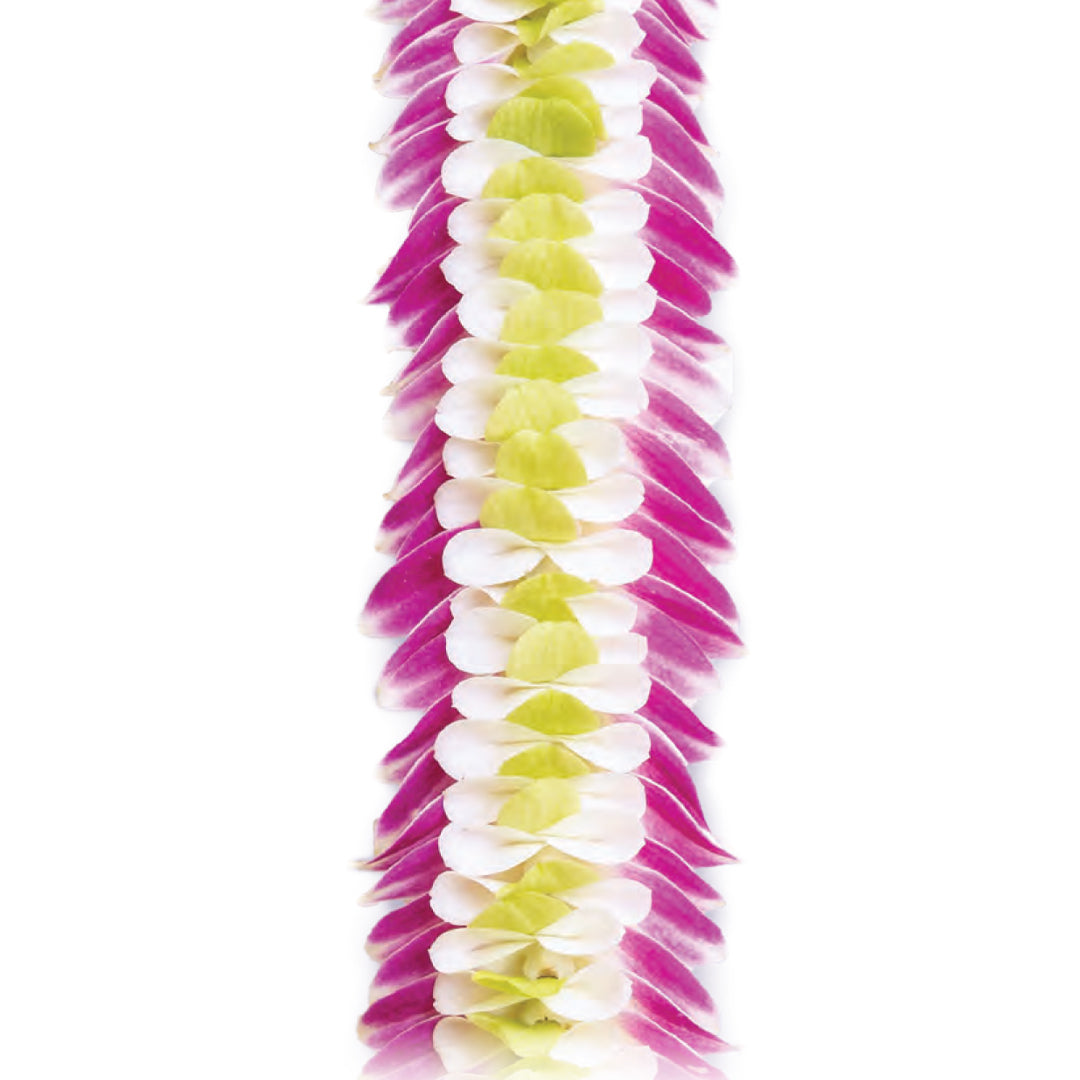 Island Confetti Orchid Lei