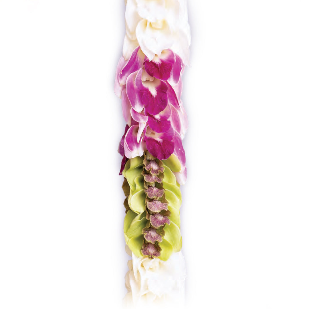 Island Medley Orchid Lei
