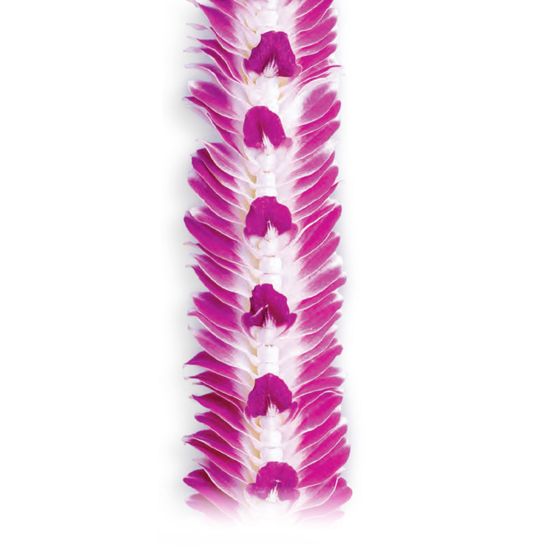 Kapi'olani Orchid Lei