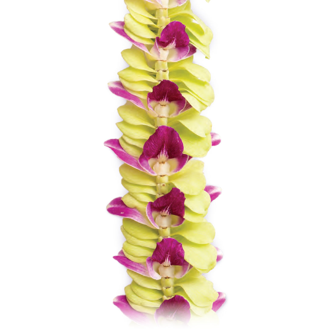 Kaua'i Garden Orchid Lei