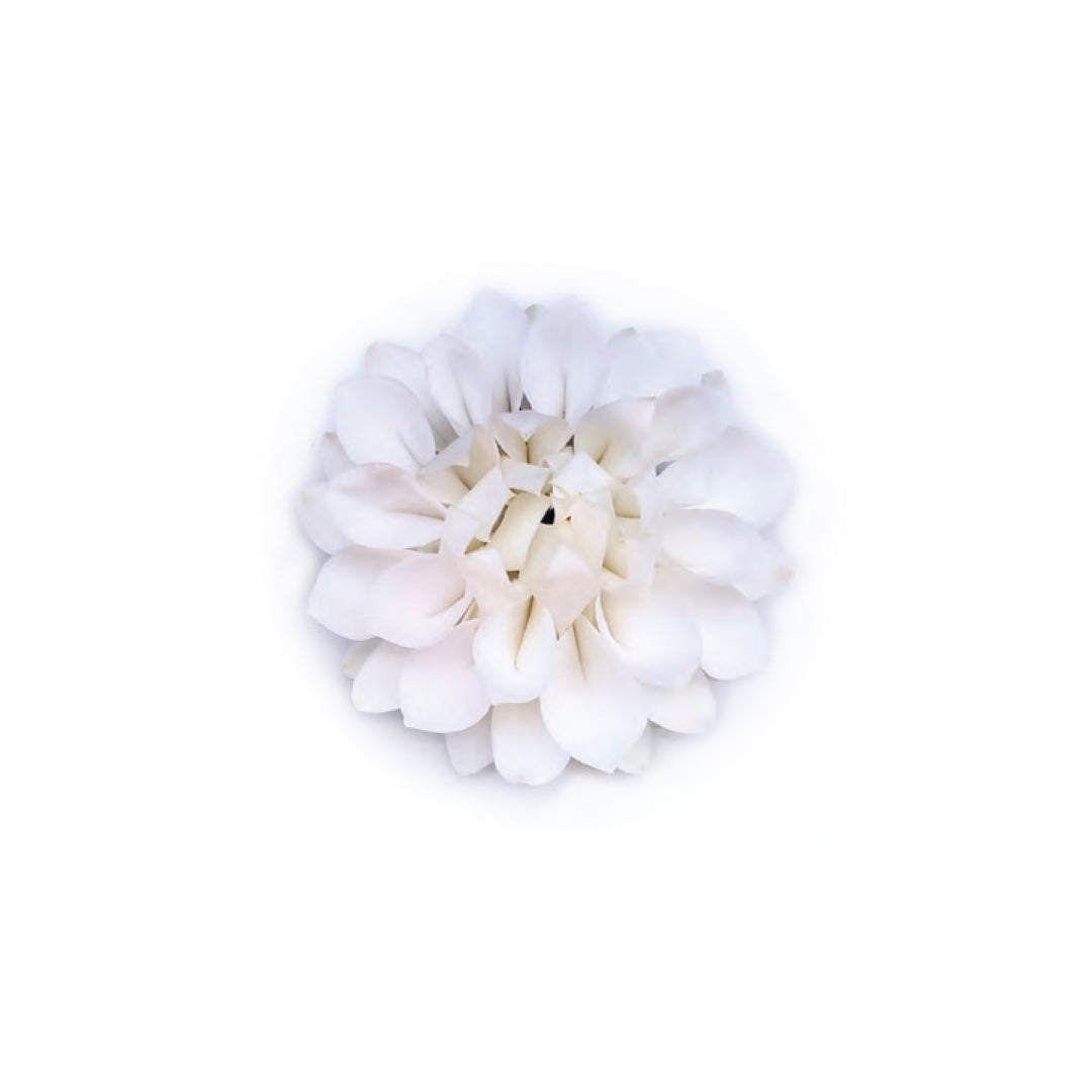 Lanikai Snow Orchid Wristlet