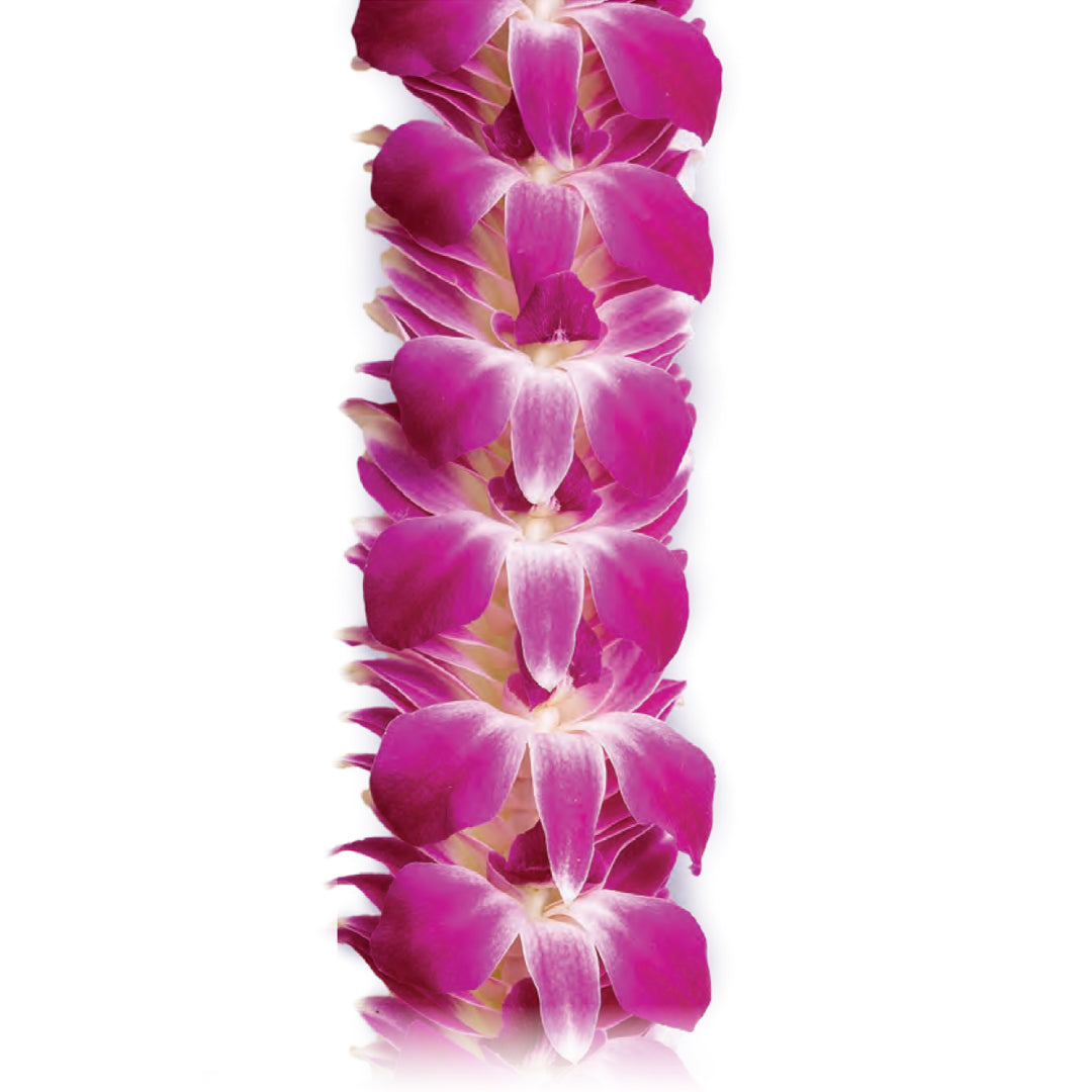 Larissa Orchid Lei