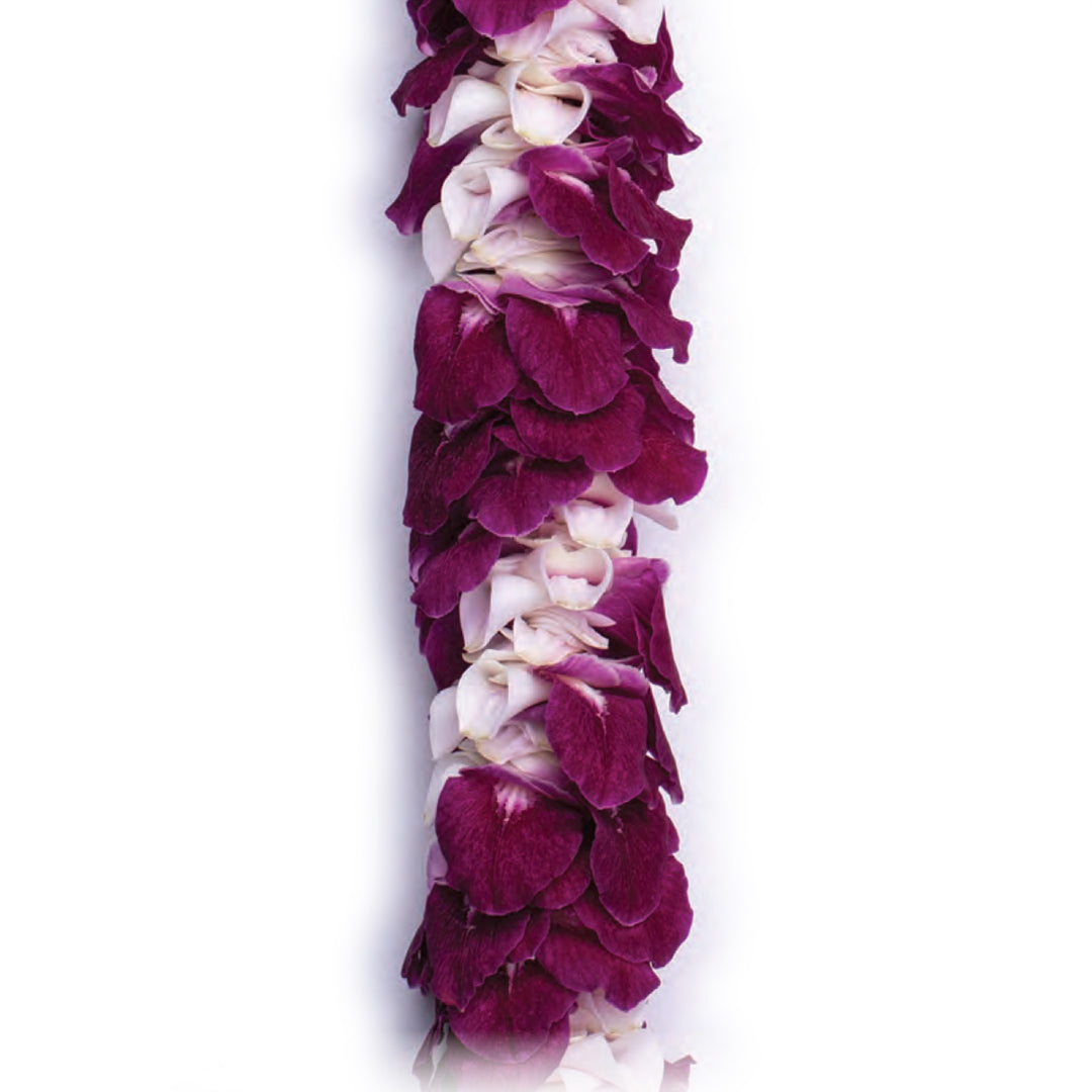 Leipiki Orchid Lei
