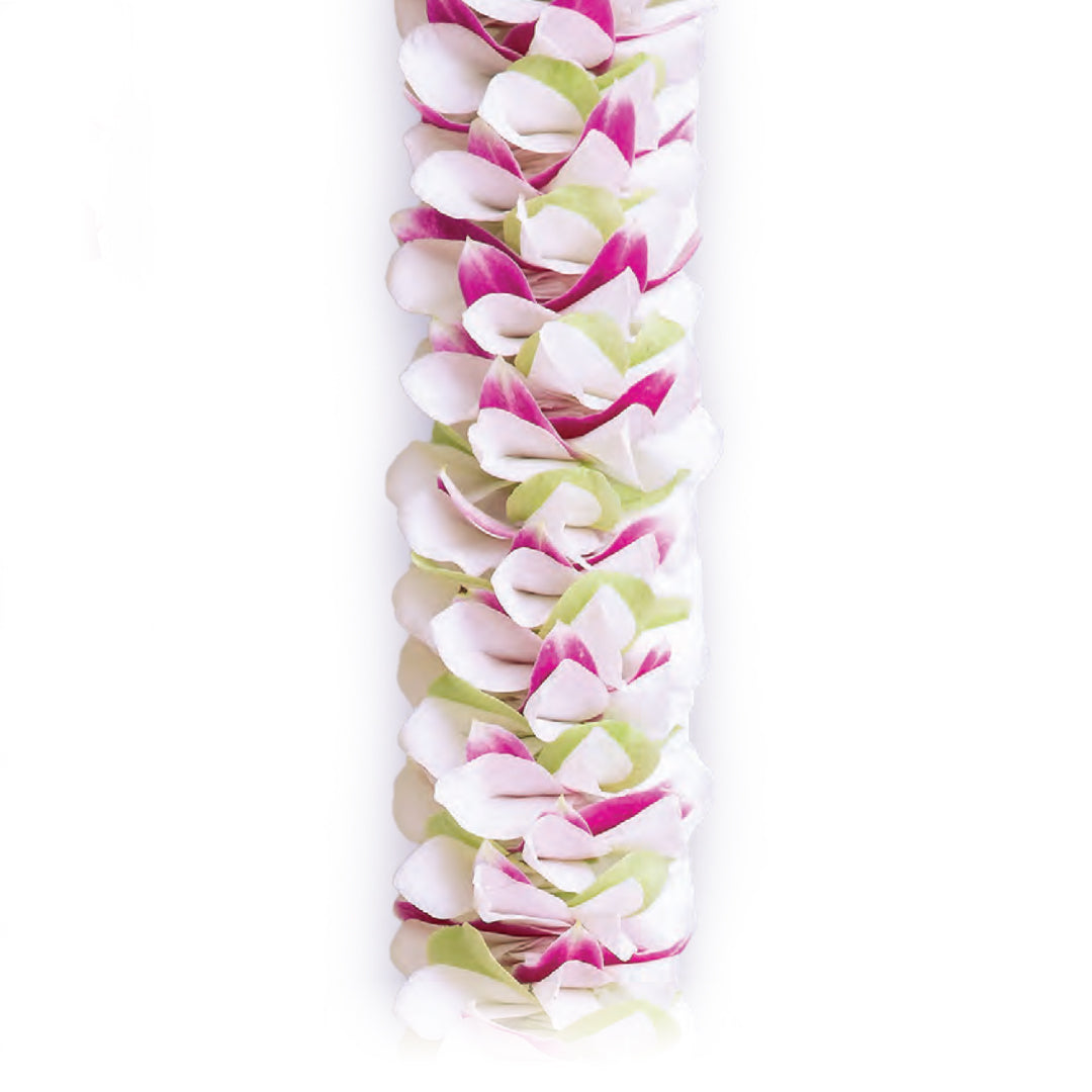 Lilia Garden Orchid Lei with layered white, pink and light green orchid petals