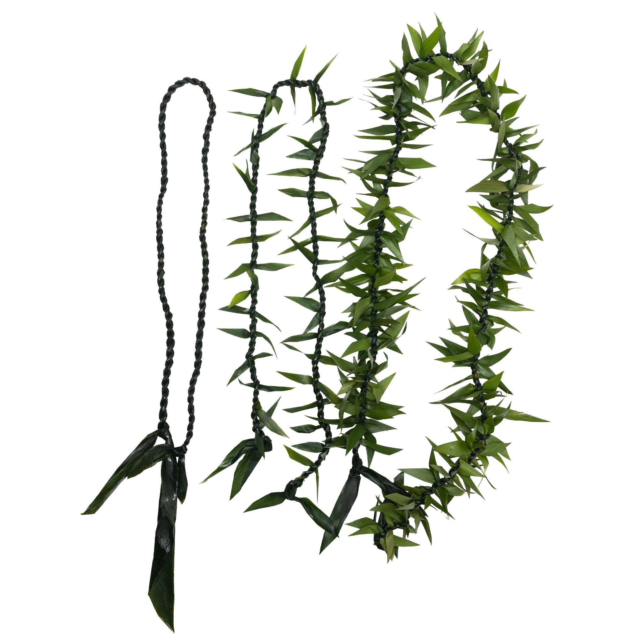 Green maile ti leaf leis with black ribbon ties on a white background