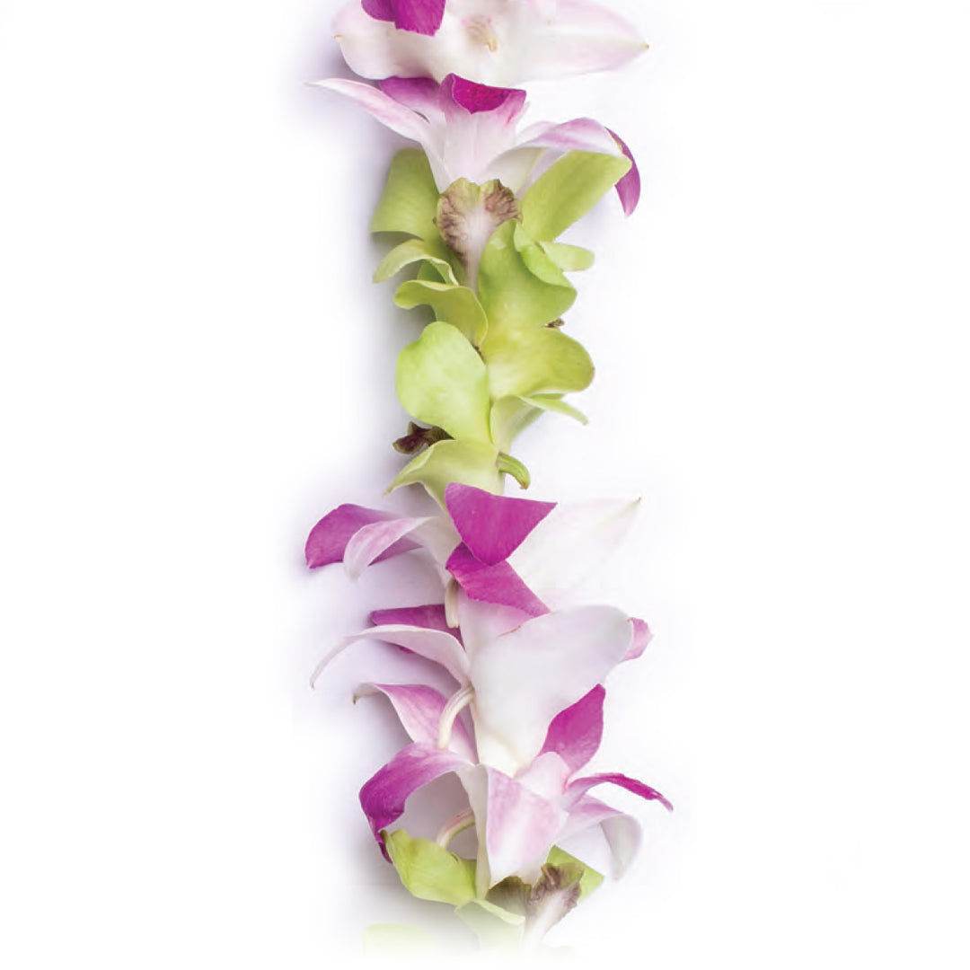 Makawao Meadow Orchid Lei