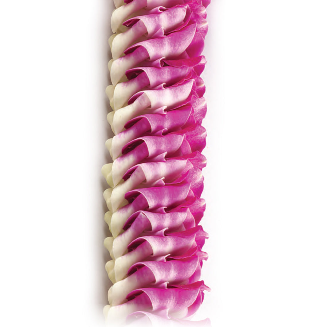 Malia Orchid Lei