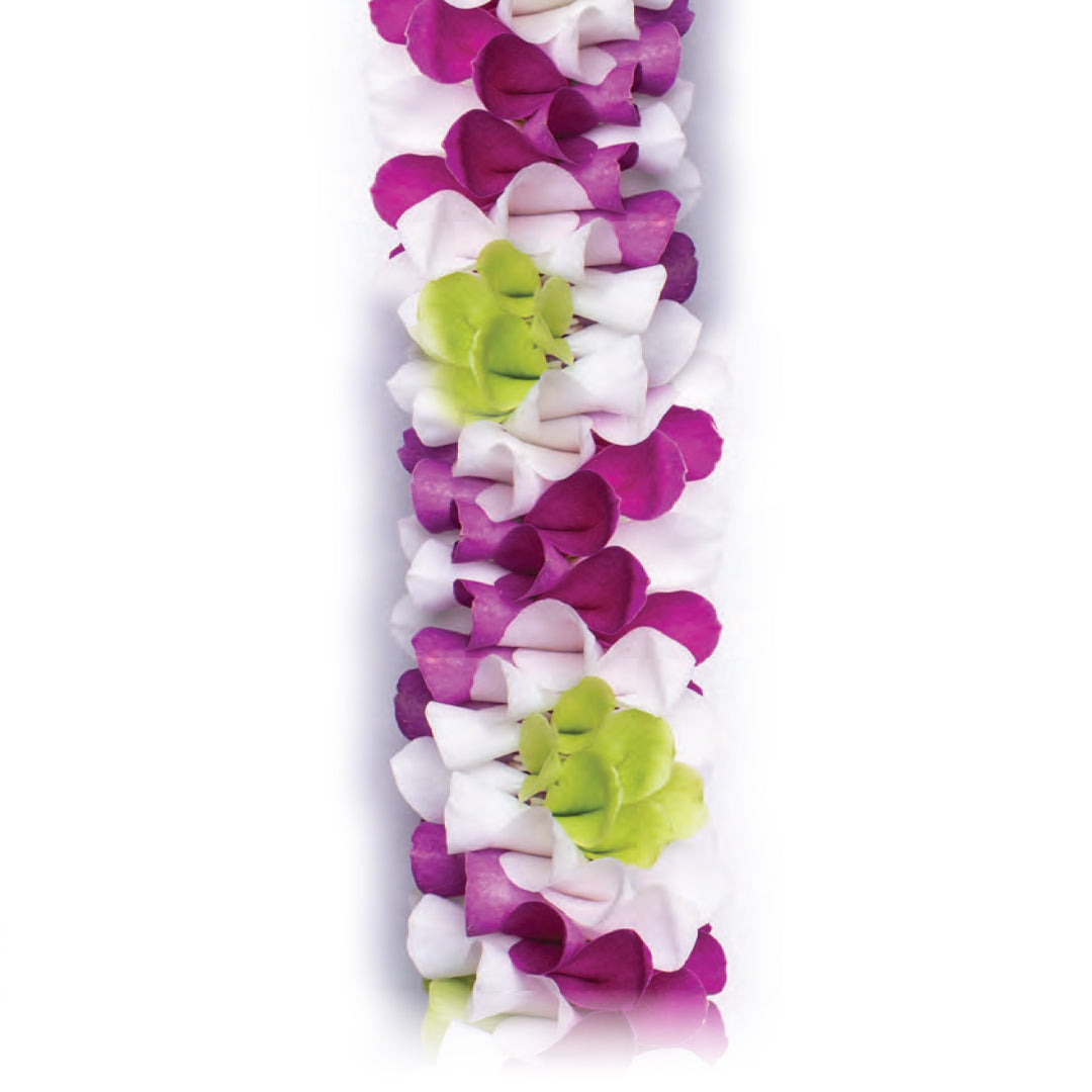 Mariah Garden Orchid Lei