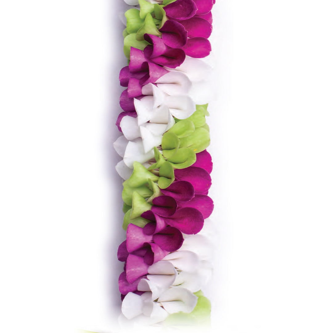 Maui Garden Orchid Lei