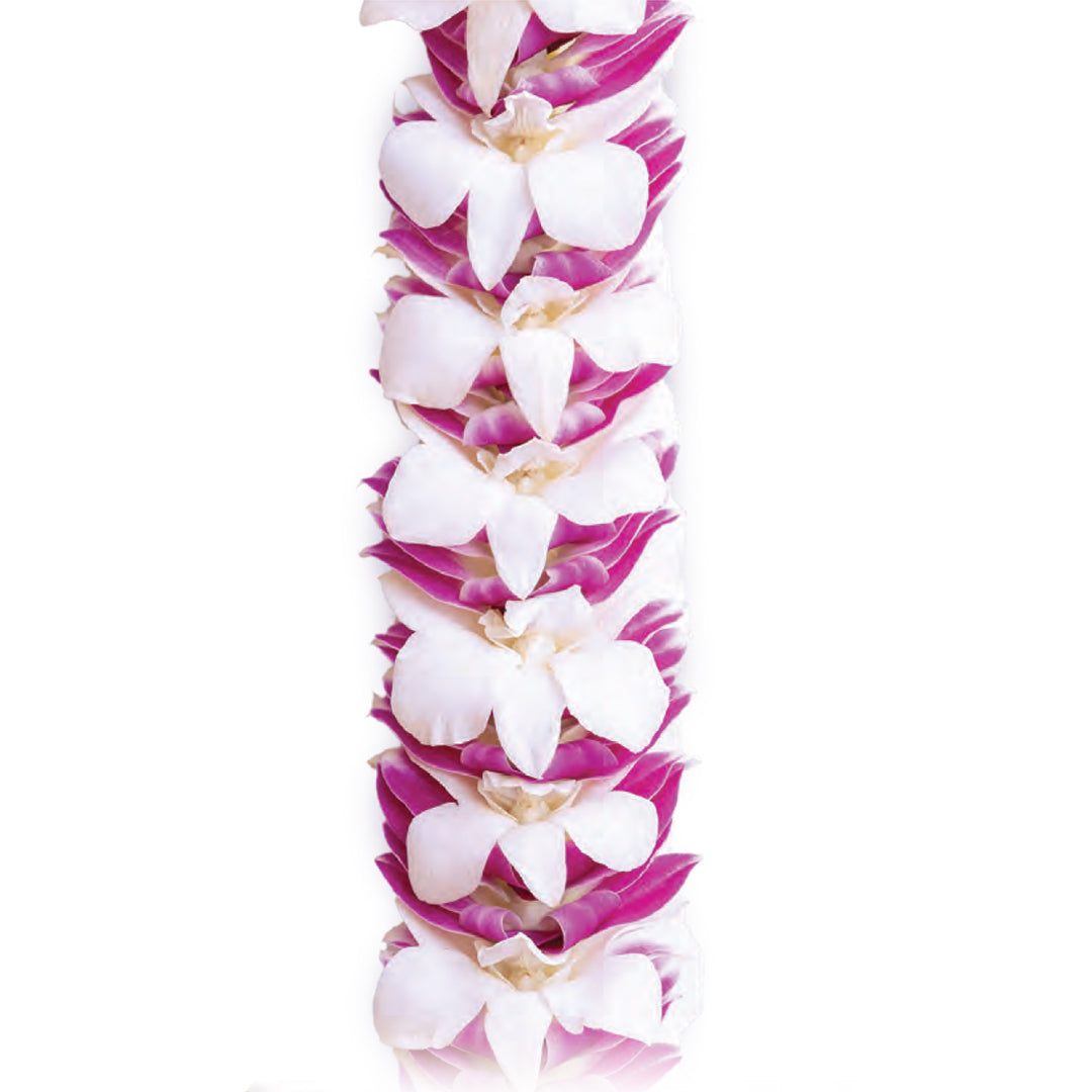 Noelani Orchid Lei