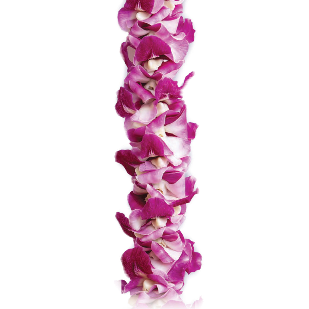 'Ohana Orchid Lei