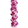 'Ohana Orchid Lei