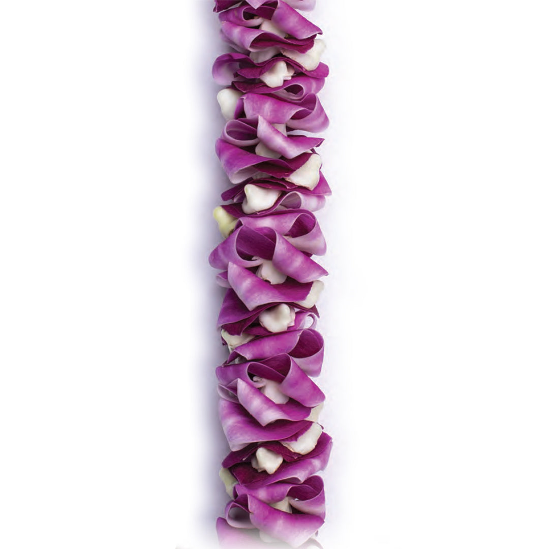Orchid Ribbons Lei