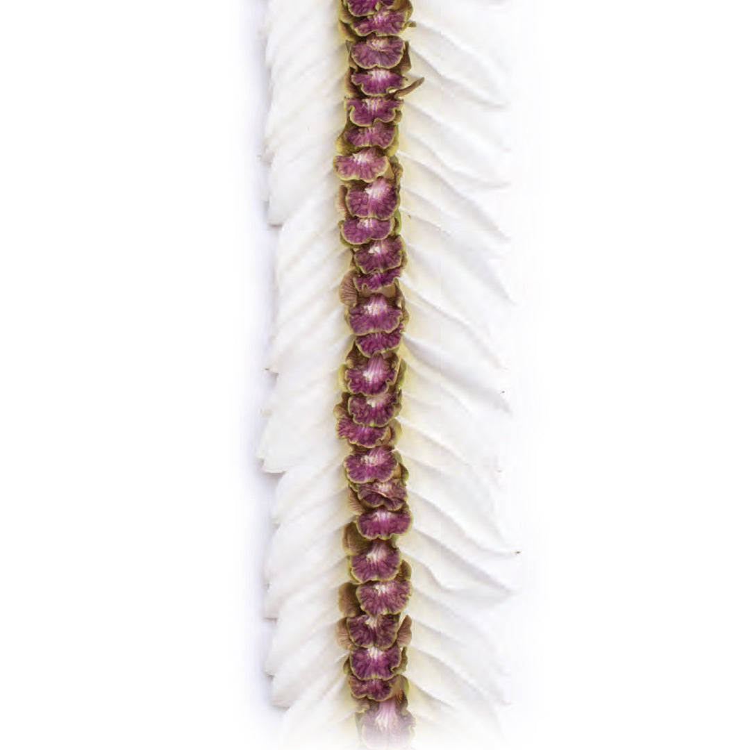 Pali Mist Orchid Lei