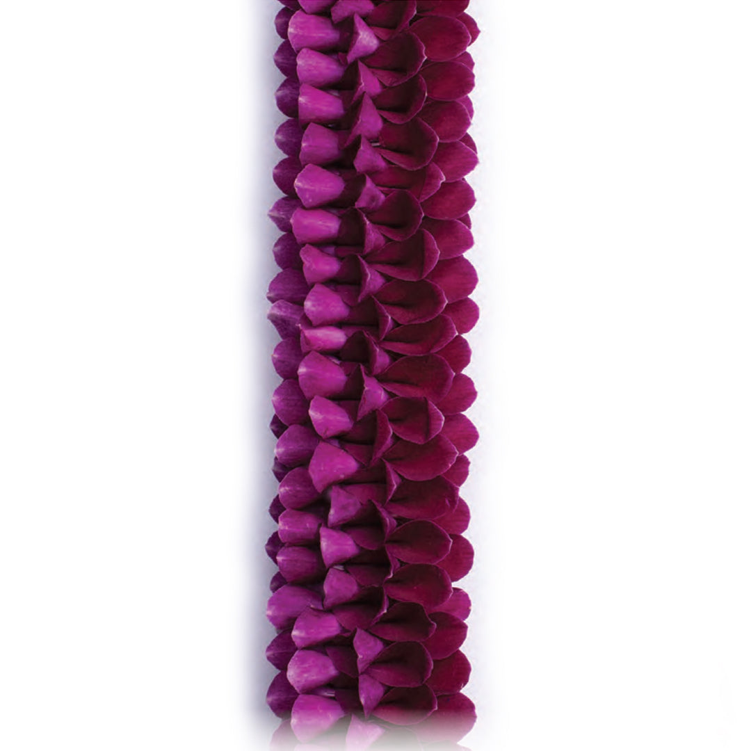 Plum Velvet Orchid Lei