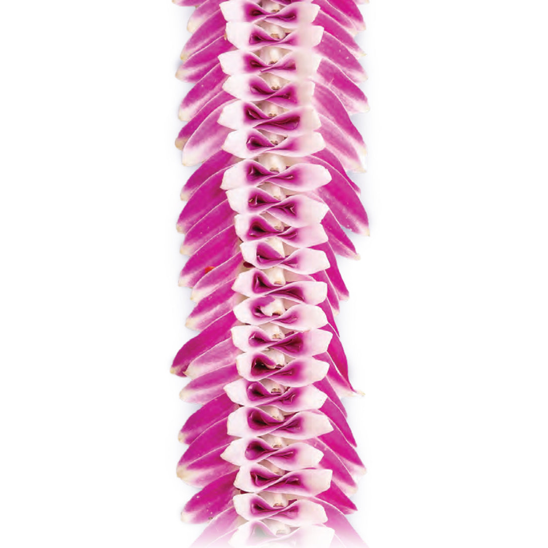 Roselani Orchid Lei