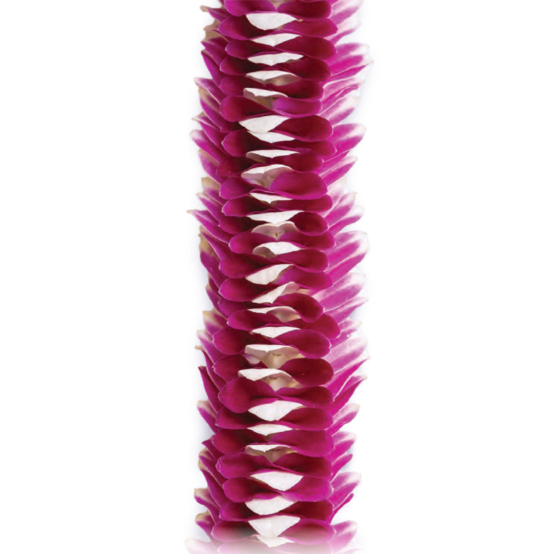 Royal Orchid Lace Lei