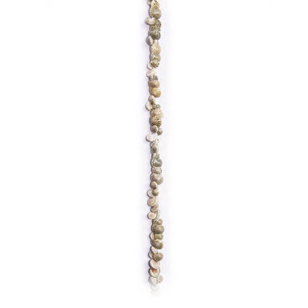 Shoreline Umbonium Shell Lei