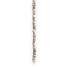 Shoreline Umbonium Shell Lei