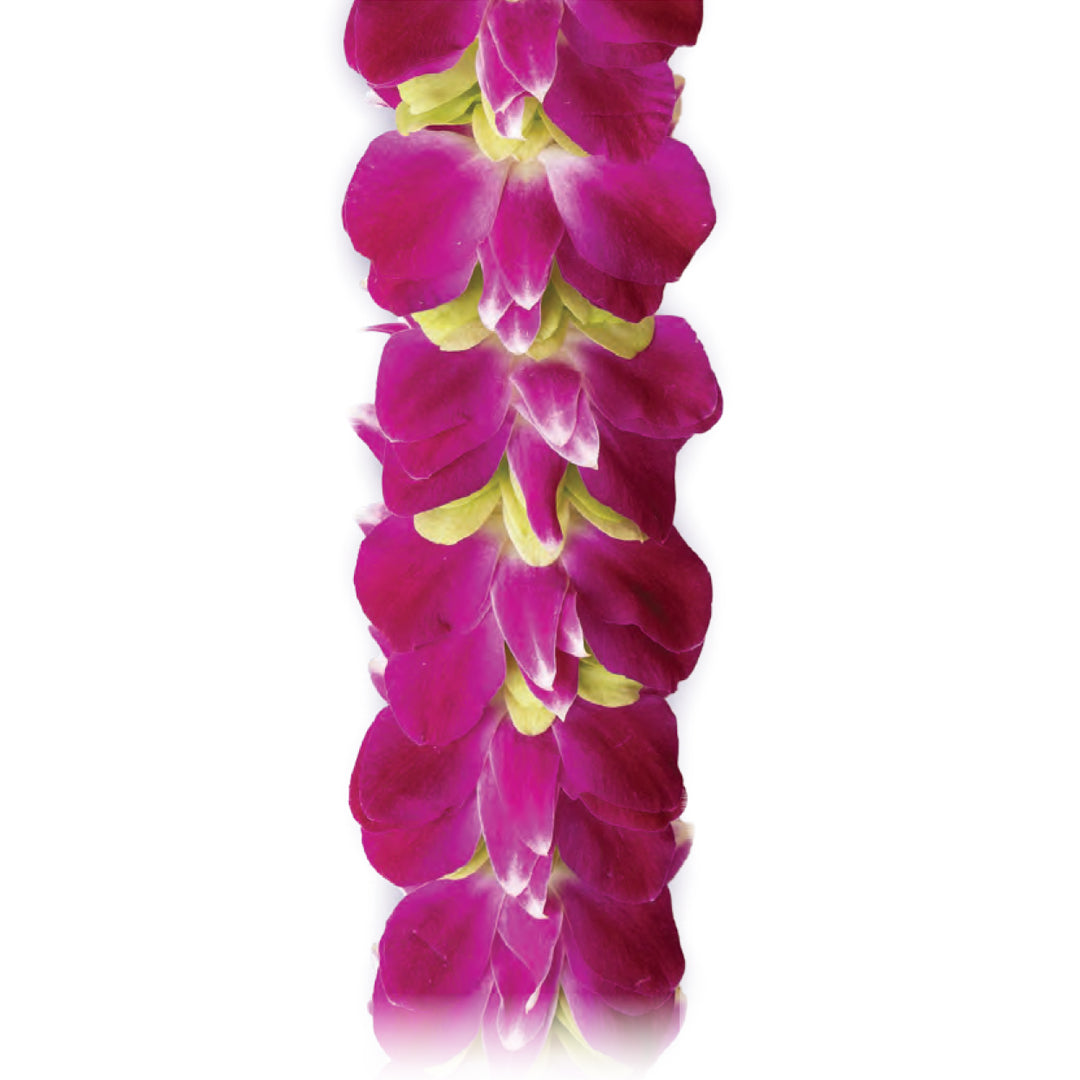 Sweetheart Garden Orchid Lei of full Bombay purple orchid blossoms with jade green accents