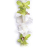 Waimanalo Breeze Orchid Lei of alternating white and jade green orchids on a single strand