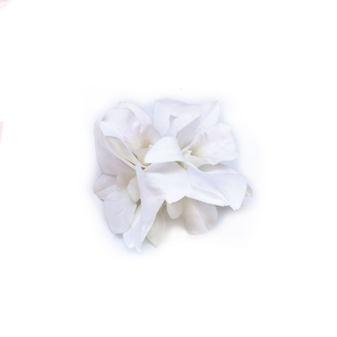 White Aloha Orchid Hair Clip
