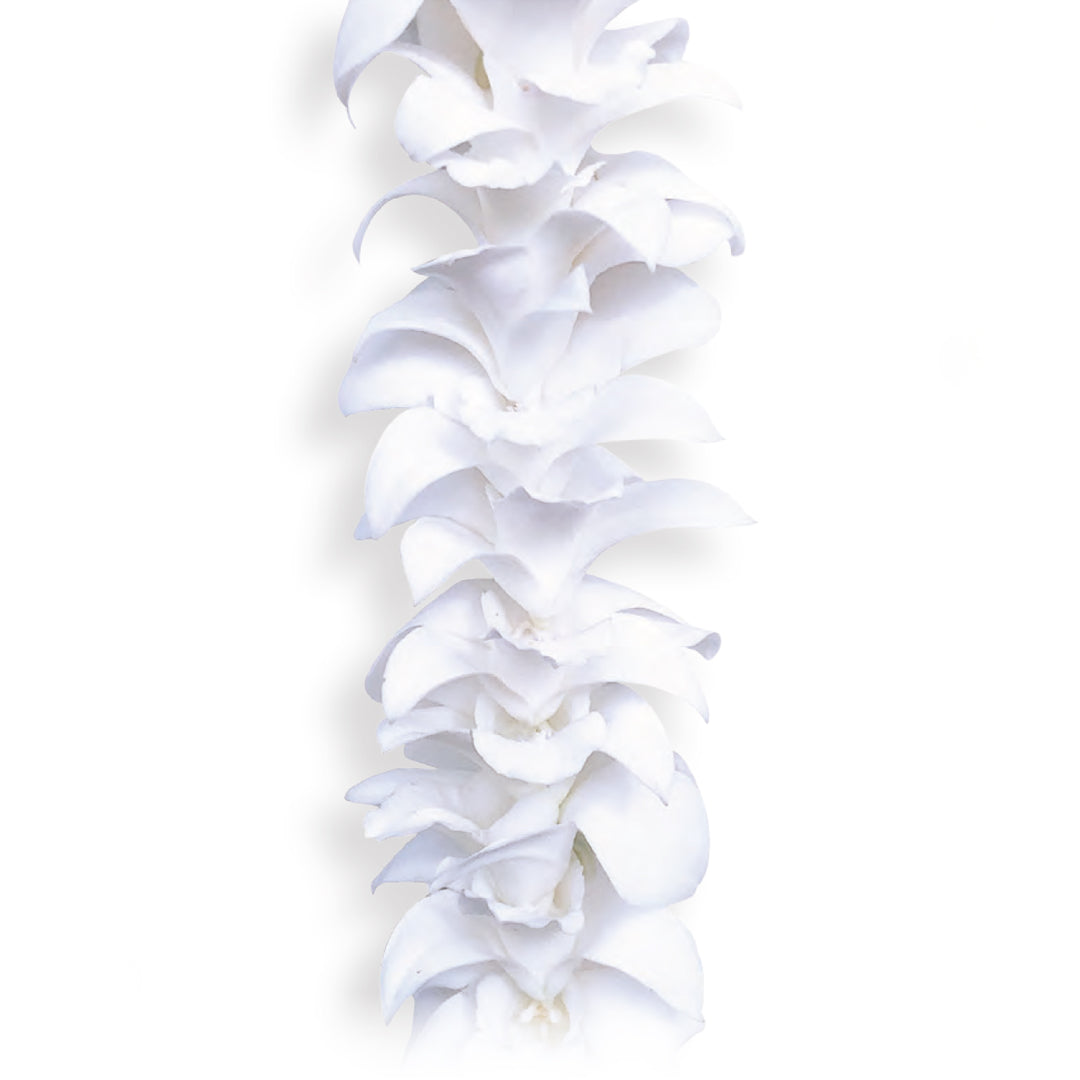 White Aloha Orchid Lei of pure white dendrobium orchids on a single strand