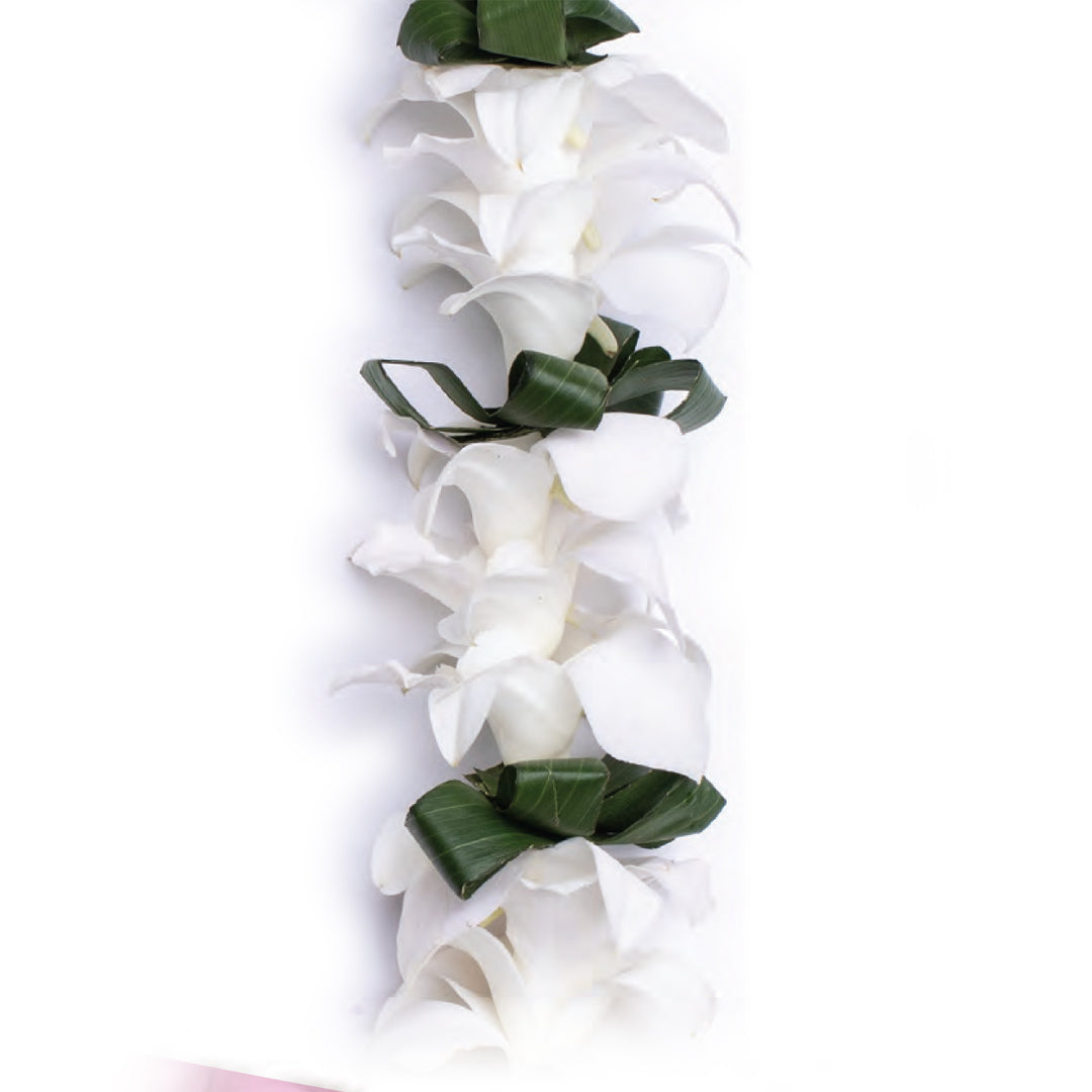 White Orchid & Ti Leaf Lei